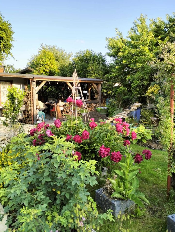 Działka rod Zabrze Helenka. Zdjęcie 7