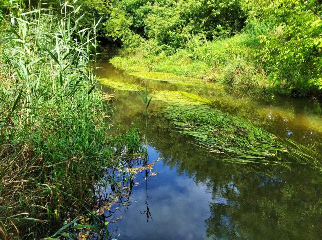 Mieszkanie 2-pokojowe Piaseczno, ul. Stanisława Staszica. Zdjęcie 12