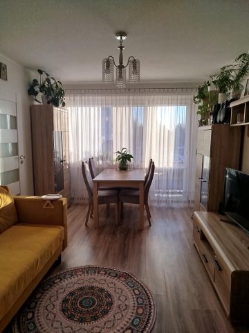 Mieszkanie 4-pokojowe Ozorków, ul. gen. Władysława Sikorskiego. Zdjęcie 1