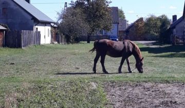 Działka budowlana Majdan Królewski, ul. Józefa Piłsudskiego