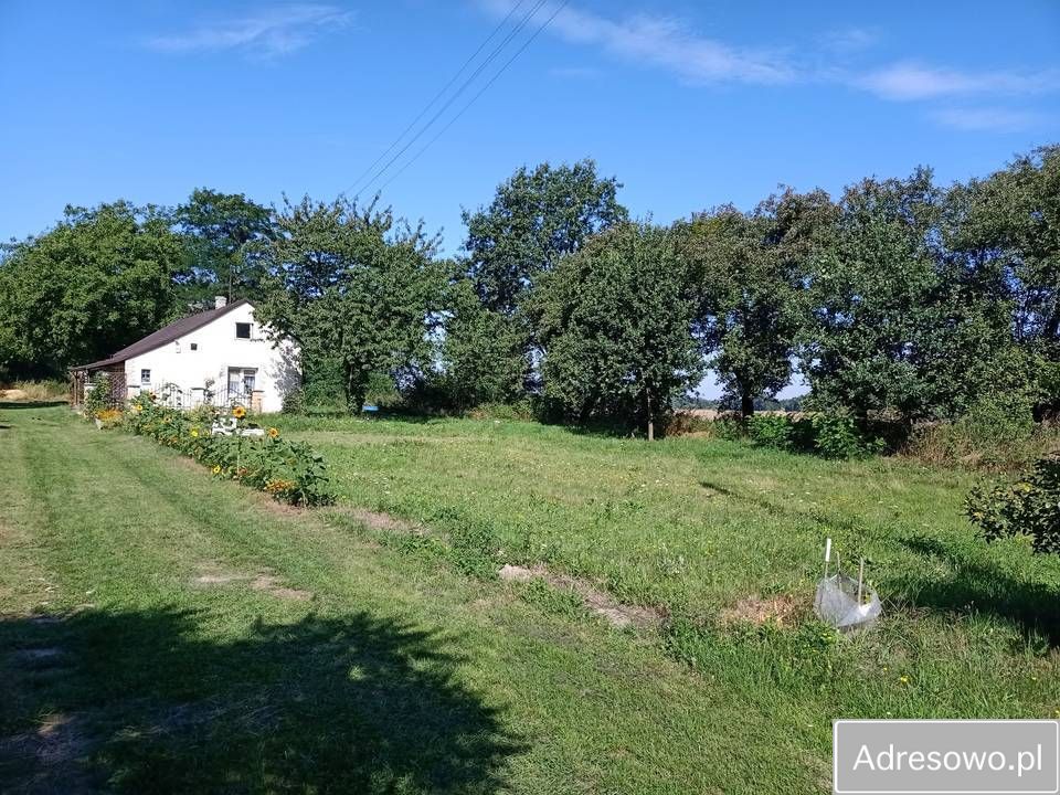 Działka siedliskowa Markowola-Kolonia. Zdjęcie 4