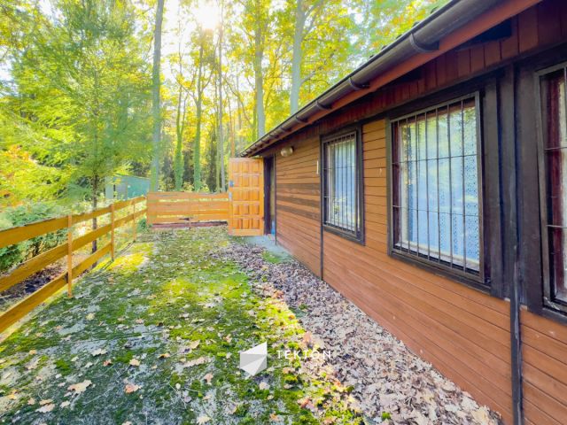 Działka leśna Warszawa Stara Miłosna, ul. Torfowa. Zdjęcie 2