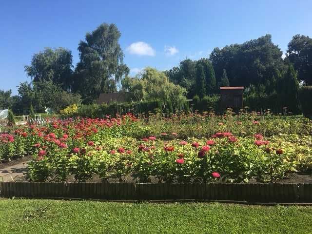 Działka rod Piła. Zdjęcie 7