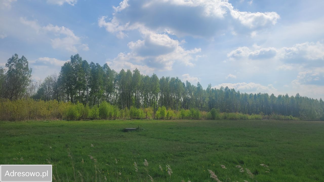 Działka inwestycyjna Dębe Wielkie. Zdjęcie 4