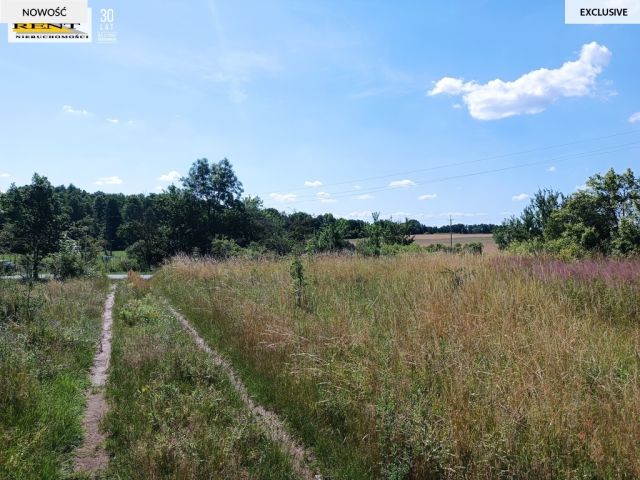 Działka budowlana Breń. Zdjęcie 4