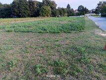 Działka budowlana Abramowice Prywatne, ul. Rubinowa. Zdjęcie 2