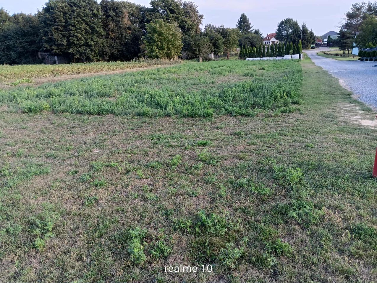 Działka budowlana Abramowice Prywatne, ul. Rubinowa. Zdjęcie 3