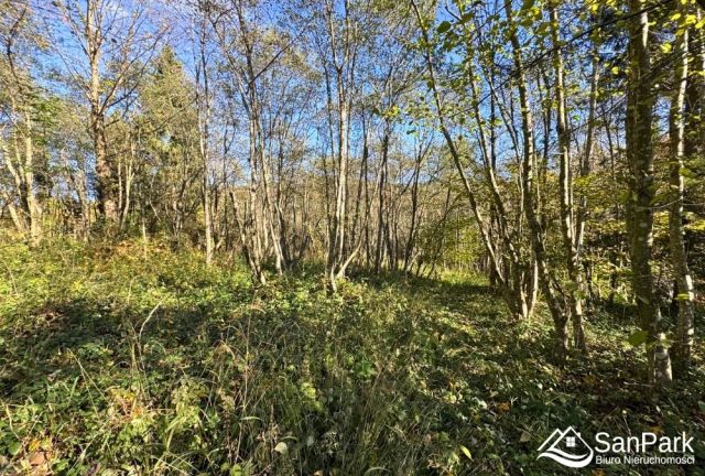 Działka rolna Krzywe. Zdjęcie 10