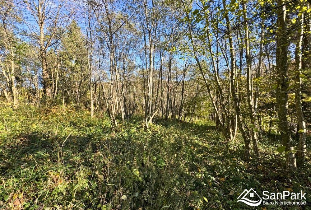 Działka rolna Krzywe. Zdjęcie 10