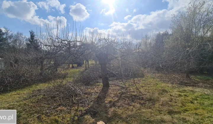 Działka budowlana Radzyń Podlaski, ul. Wincentego Witosa