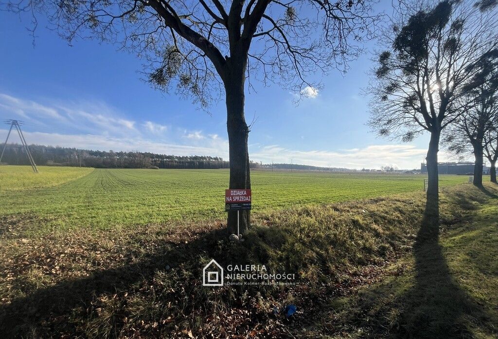 Działka inwestycyjna Bolechowo. Zdjęcie 8