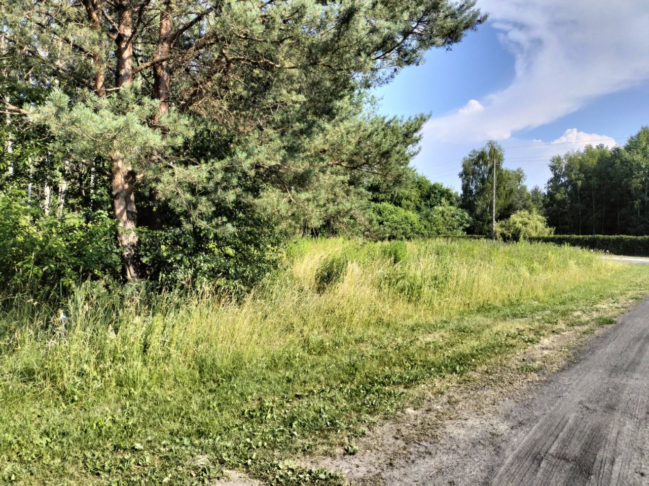 Działka budowlana Łask Kolumna, ul. Zimorodka. Zdjęcie 2