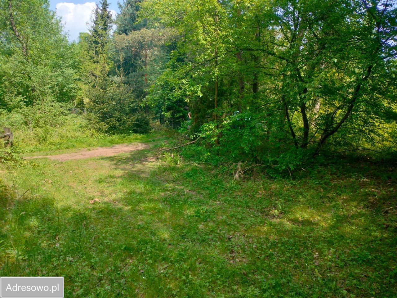 Działka rekreacyjna Nadkole. Zdjęcie 8