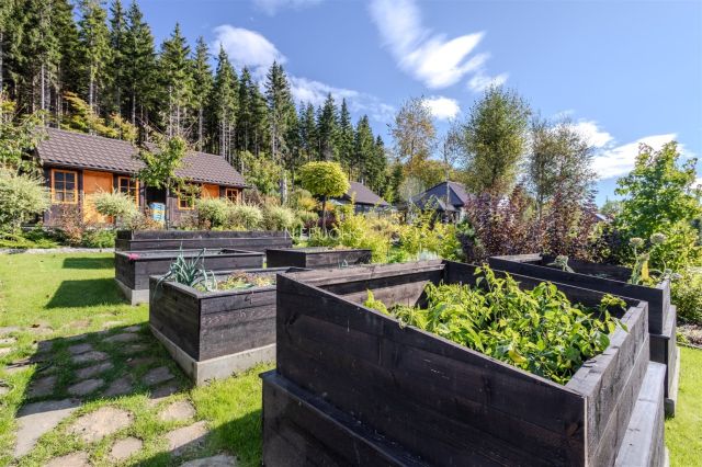 dom, 3 pokoje Jarkowice. Zdjęcie 6