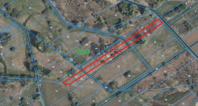 Działka rolna Warszawa Wilanów. Zdjęcie 2