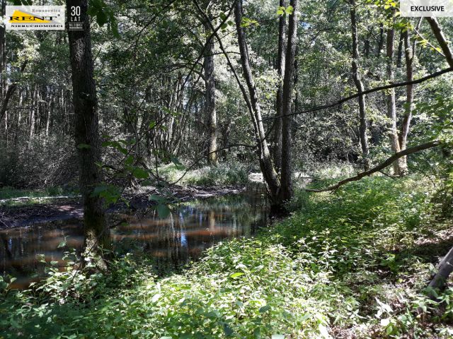 Działka inwestycyjna Chociwel. Zdjęcie 8