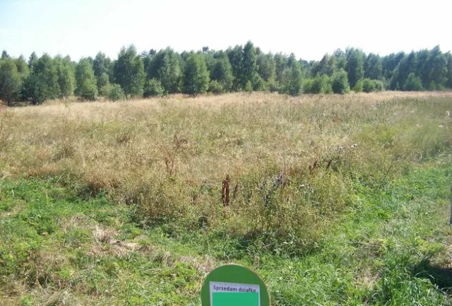 Działka rolna Lipiny. Zdjęcie 1