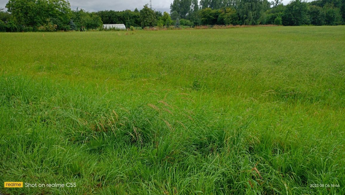 Działka budowlana Mikołów Borowa Wieś. Zdjęcie 3