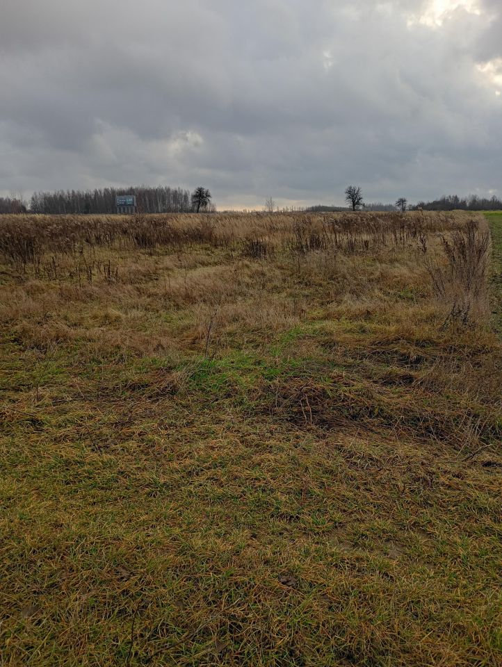 Działka rolno-budowlana Taczów. Zdjęcie 8