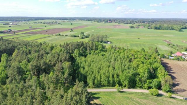 Działka leśna Stary Cydzyn. Zdjęcie 5