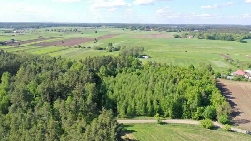 Działka leśna Stary Cydzyn. Zdjęcie 5