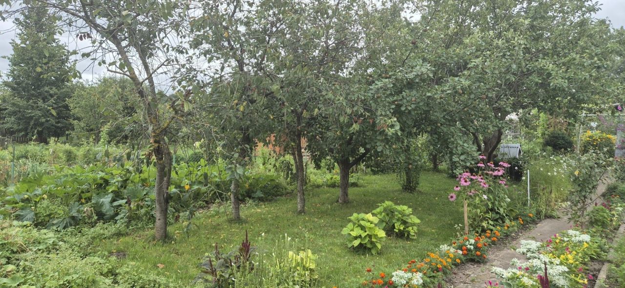 Działka rod Lidzbark Warmiński, ul. Ornecka. Zdjęcie 6