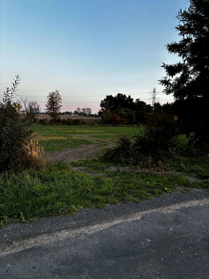 Działka rolna Tyniec Legnicki. Zdjęcie 5