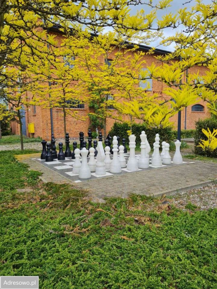 Mieszkanie 2-pokojowe Skarbimierzyce. Zdjęcie 9