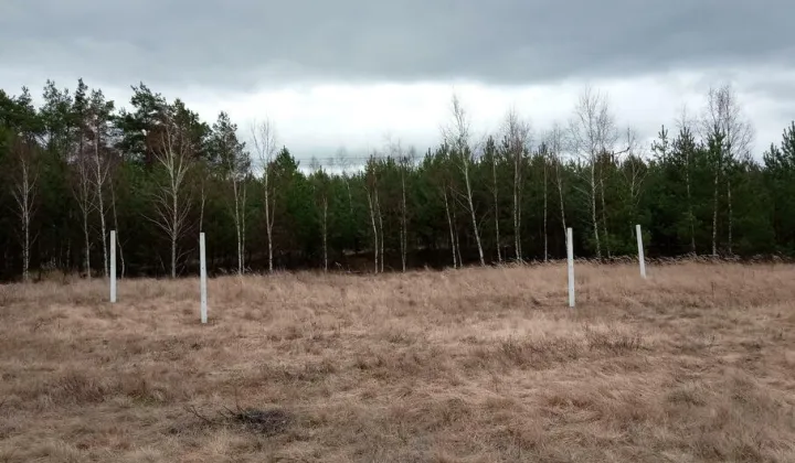 Działka inwestycyjna Drzeńsk Mały