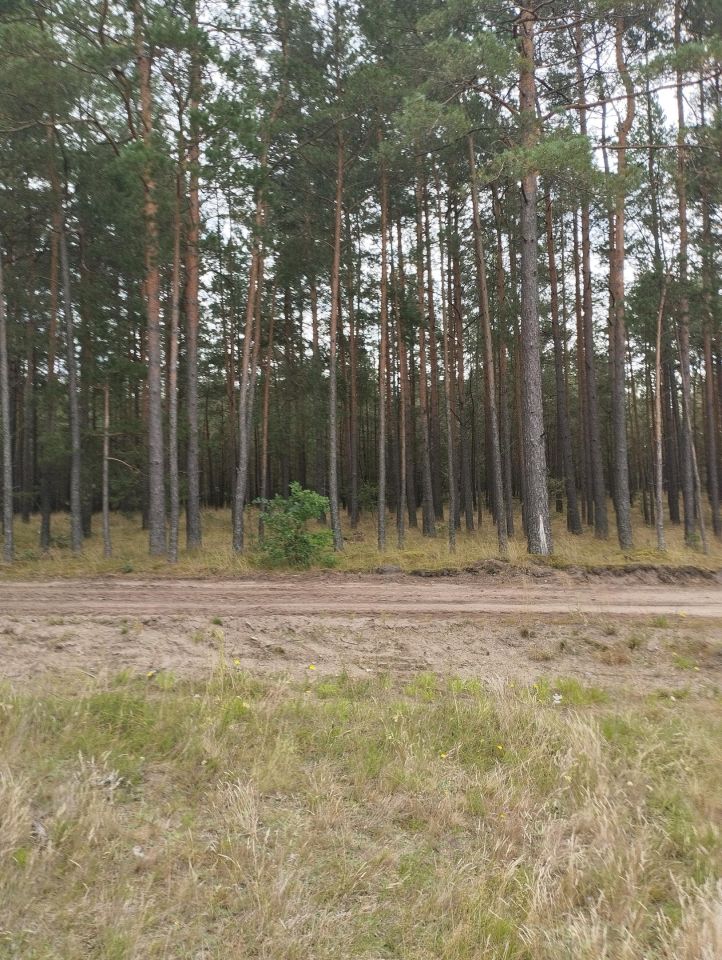Zdjęcie 4