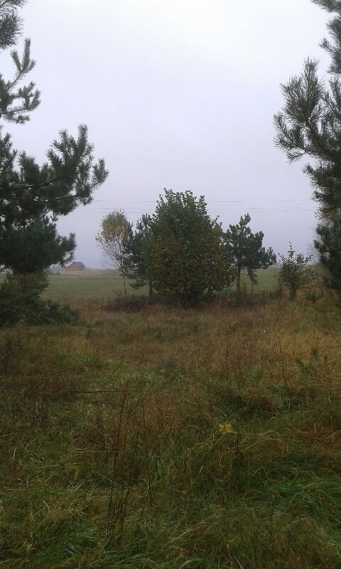 Działka budowlana Sobącz. Zdjęcie 3