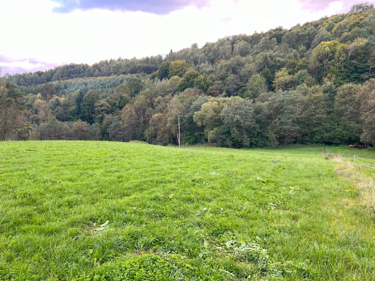 Działka budowlana Wujskie. Zdjęcie 7