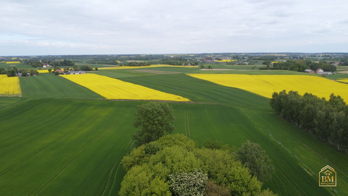 Działka siedliskowa Płouszowice-Kolonia. Zdjęcie 7