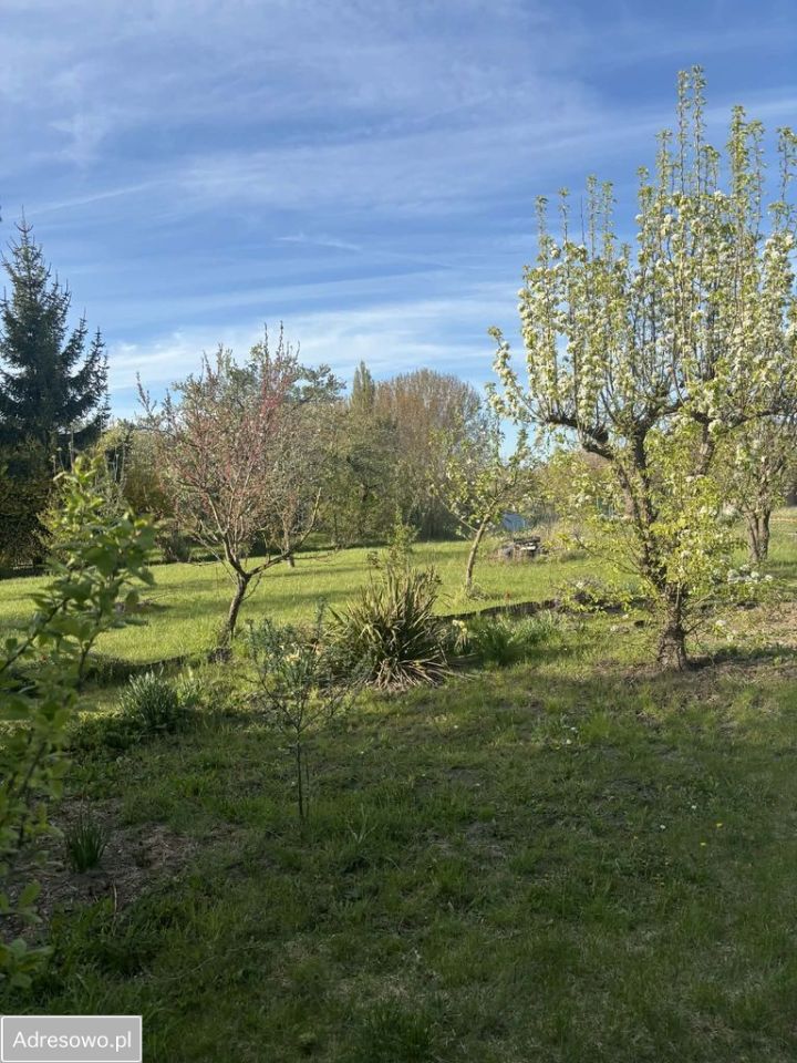 Działka rod Pyrzyce, ul. Niepodległości. Zdjęcie 14