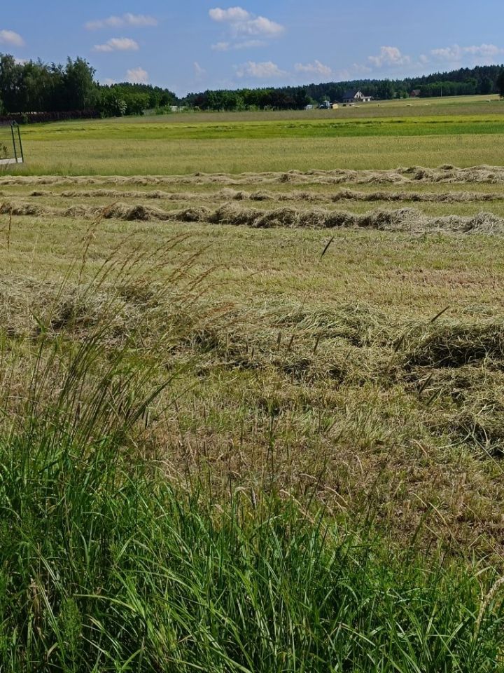 Działka budowlana Kobyla Góra. Zdjęcie 6