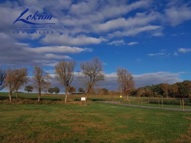 Działka budowlana Świerczyna. Zdjęcie 5
