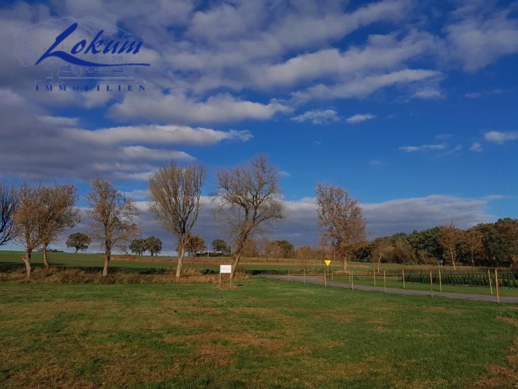 Działka budowlana Świerczyna. Zdjęcie 5