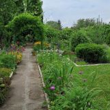 Działka rod Ostrów Wielkopolski, ul. Grunwaldzka. Zdjęcie 3