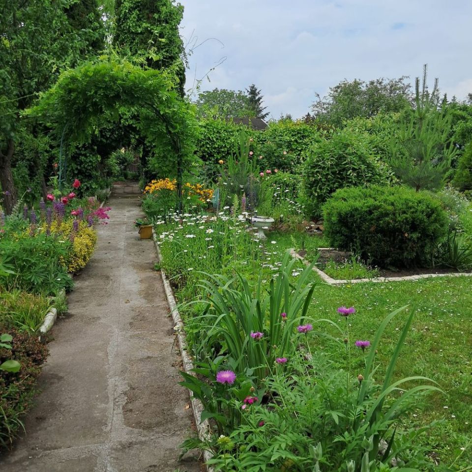 Działka rod Ostrów Wielkopolski, ul. Grunwaldzka. Zdjęcie 4