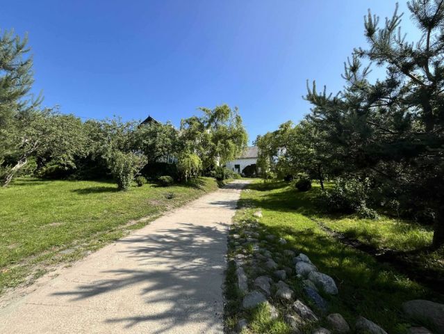 Działka rolna Bażyny. Zdjęcie 1