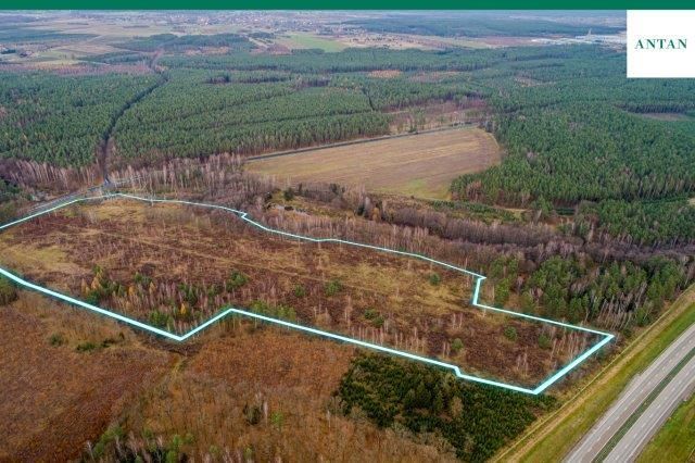 Działka inwestycyjna Strzelno, Zgorzelecka. Zdjęcie 8