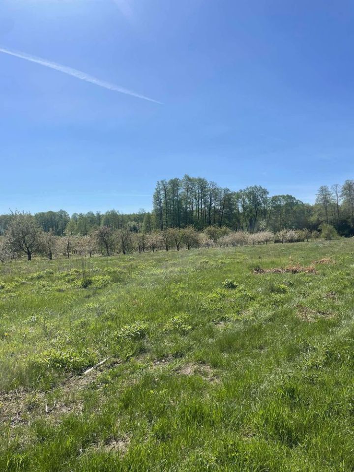 Działka budowlana Janówek, ul. Modrzewiowa