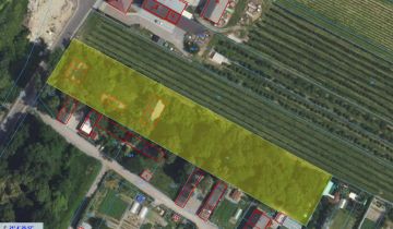 Działka rolno-budowlana Nowa Wieś