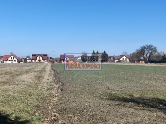 Działka budowlana Królewiec. Zdjęcie 6