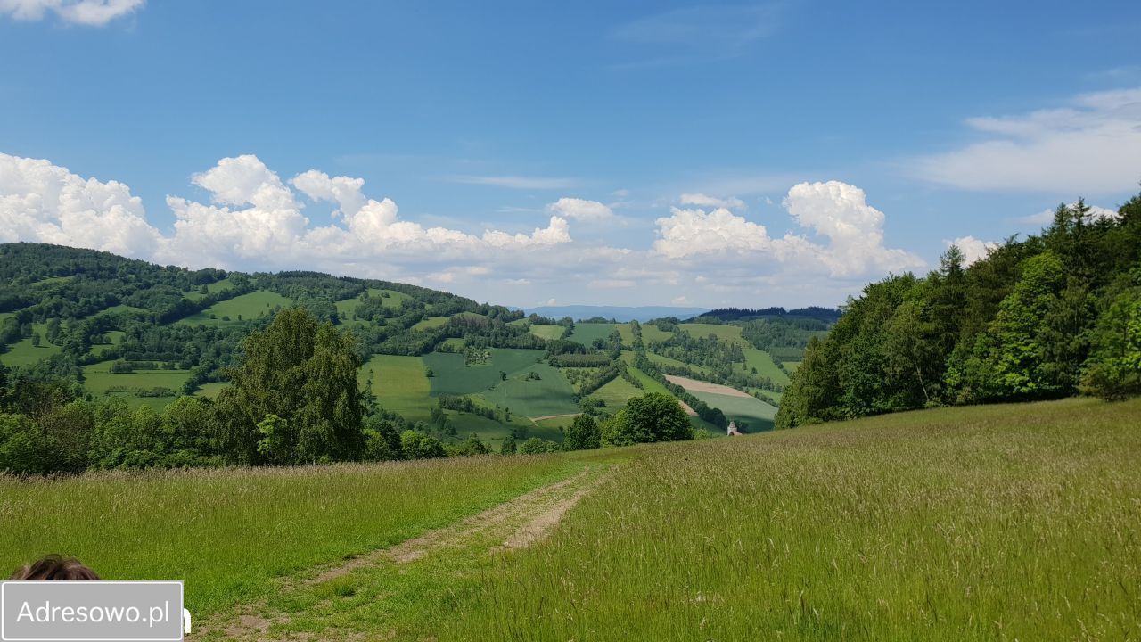 Działka inwestycyjna Konradów. Zdjęcie 10