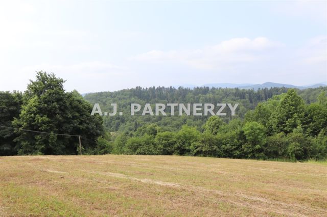 Działka Pasierbiec. Zdjęcie 12