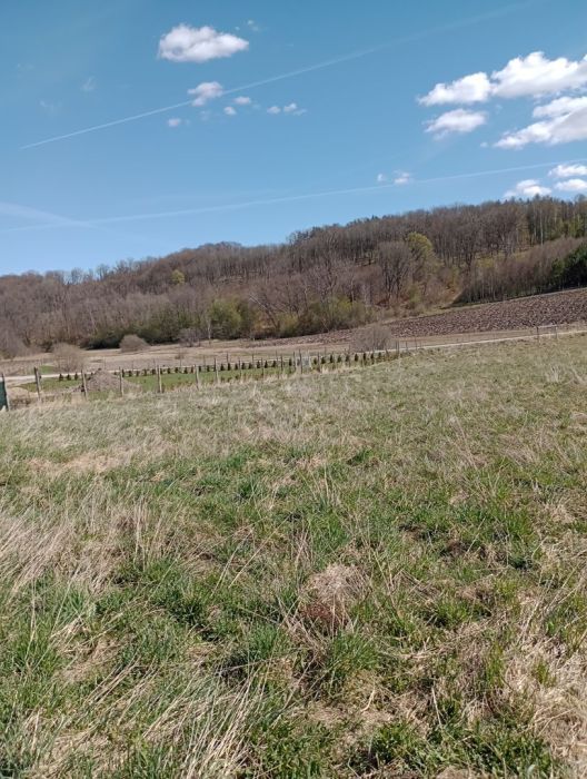 Działka budowlana Huta Dolna, ul. Żurawi Trakt. Zdjęcie 10