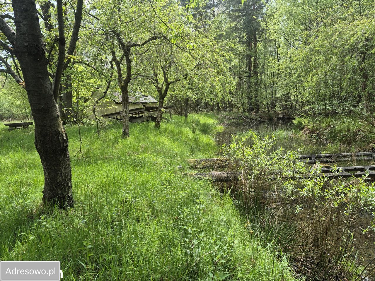 dom wolnostojący, 3 pokoje Żarki. Zdjęcie 8