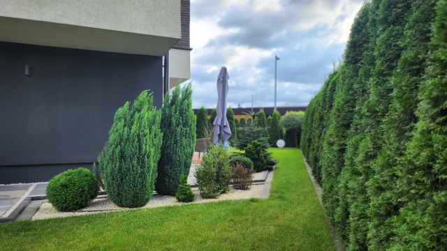 bliźniak, 5 pokoi Chorzów Stary Chorzów, ul. Świerkowa. Zdjęcie 1
