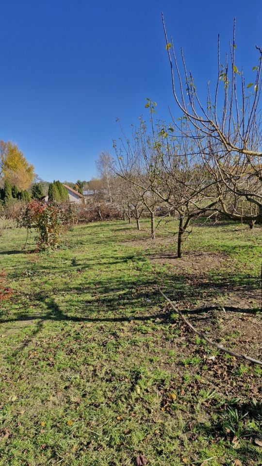 Działka budowlana Ostrów-Osiedle. Zdjęcie 2